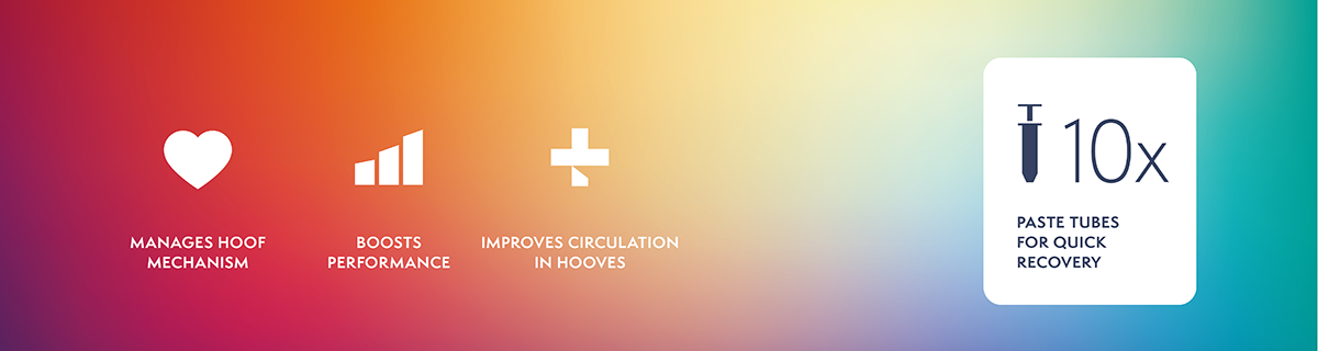 Trombofeet (x10): Healthcare & Sport